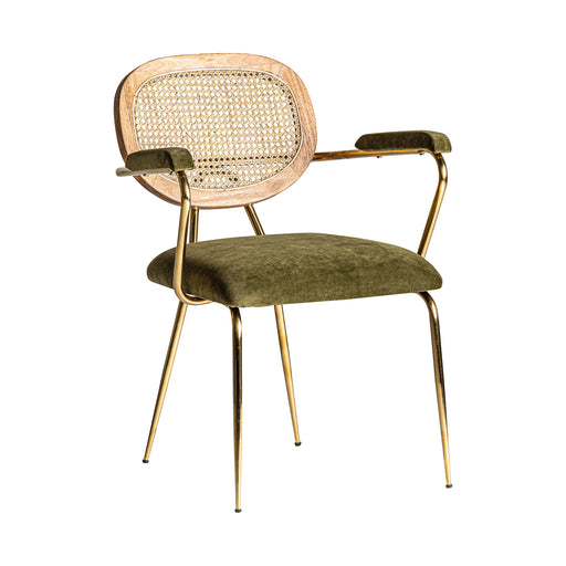 Indulge in the charming allure of the Diekirch Chair, adorned in a delightful green & gold color palette, evoking a vintage style. Meticulously crafted with a sturdy steel frame, this chair ensures both durability and elegance